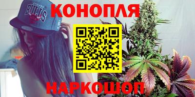 индика Тайшет